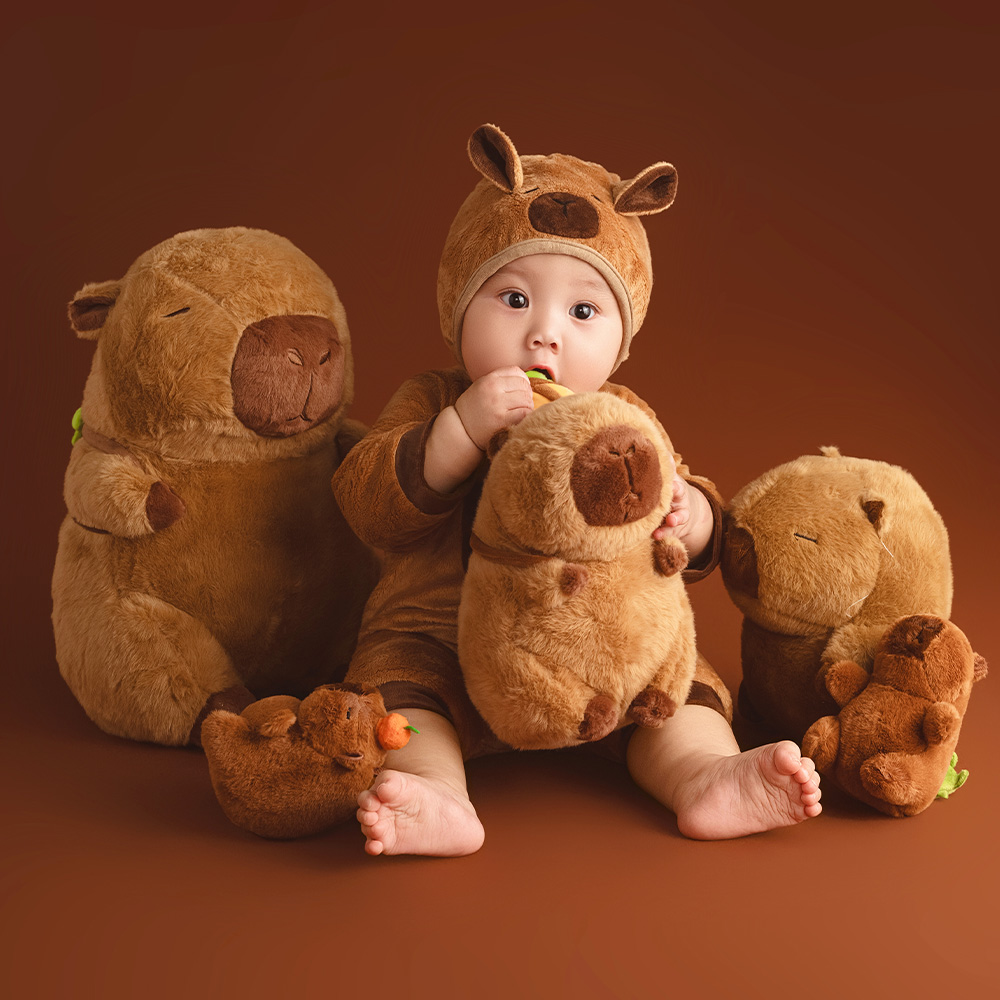 100 Days Baby Celebration Them - Photography Day review and price
