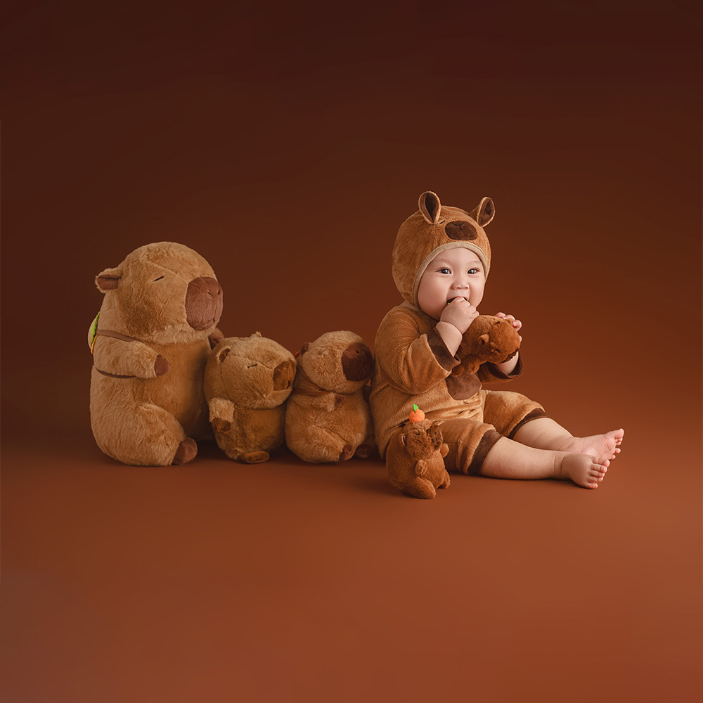 100 Days Baby Celebration Them - Photography Day review and price