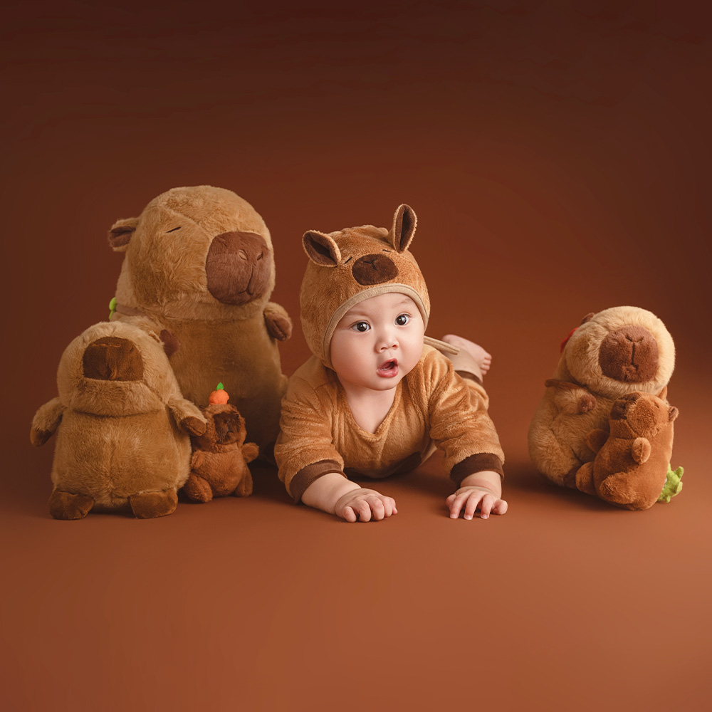 100 Days Baby Celebration Them - Photography Day review and price