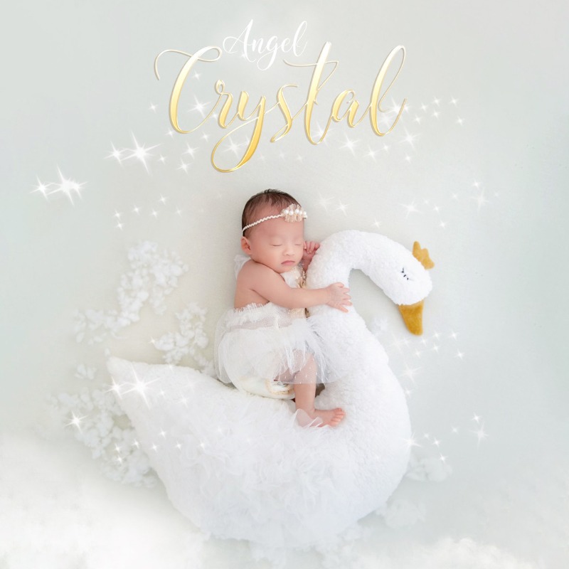Newborn Photography Prop Swan  - Photography Day review and price