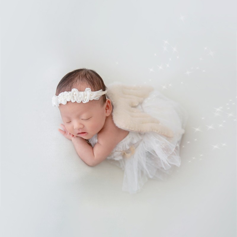 Newborn Photography Prop Swan  - Photography Day review and price