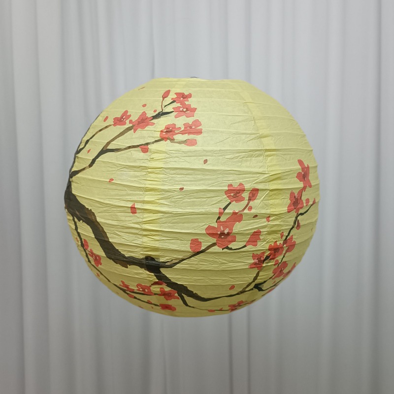 30cm Printed Paper Chinese Sty - Photography Day review and price
