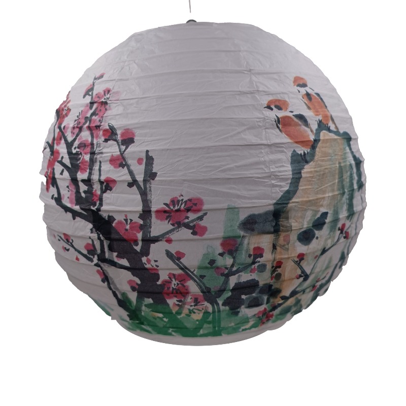 30cm Printed Paper Chinese Sty - Photography Day review and price