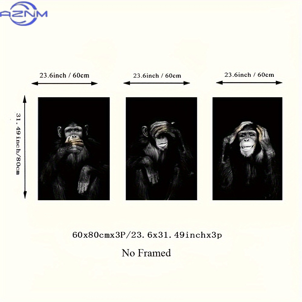 3pcs/set Big Size Unframed Ret - Photography Black And White review and price